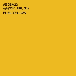 #EDBA22 - Fuel Yellow Color Image